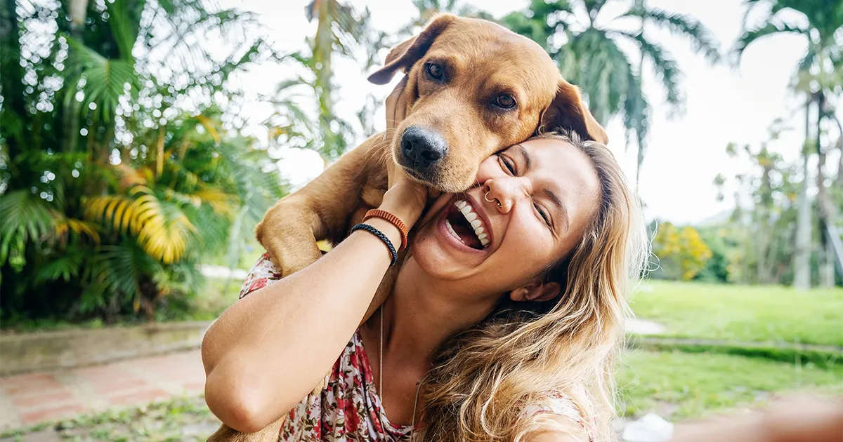 ¿Cómo se considera a las mascotas en un seguro de vida?